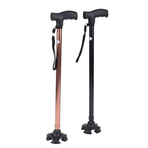 Pair nordic walking - of,