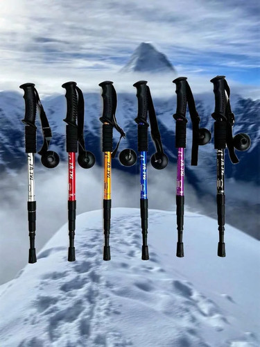 Trekking poles nordic - trekking, walking