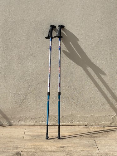 Nordic walking poles used - walking,