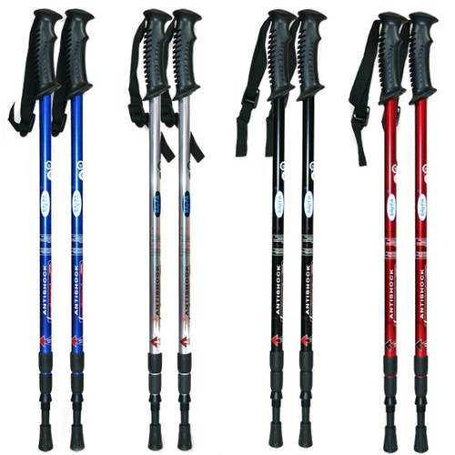 Pair nordic walking - nordic,