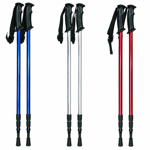 Pair nordic walking - of,