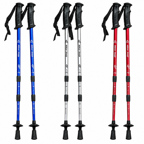 Pair nordic walking - of,